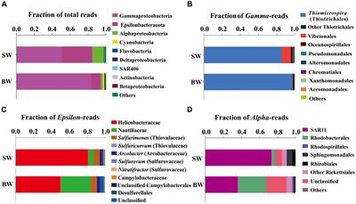 Coupled Carbon, Sulfur, and Nitrogen Cycles Mediated by Microorganisms in the Water Column of a Shallow-Water Hydrothermal Ecosystem